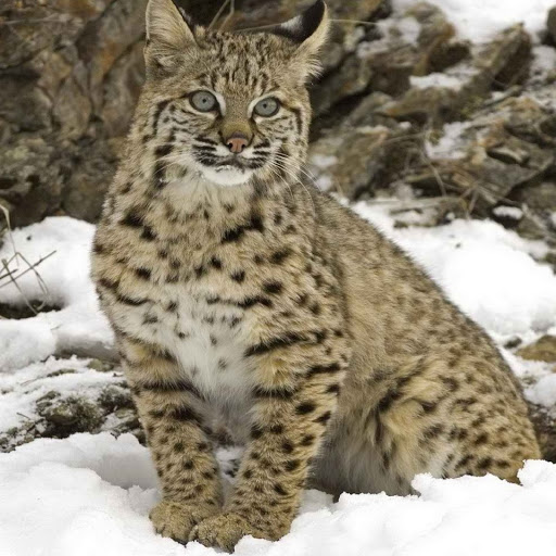 Hd-180425-ascw180425