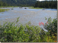 IMG_0251-Susitna River along Denali Hwy.