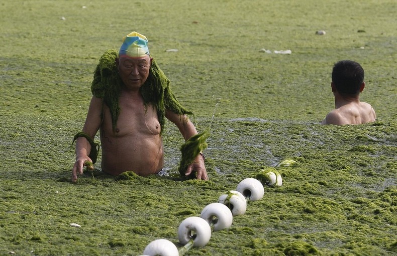 algae-china-beach-1