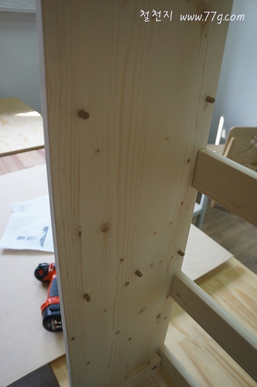 [DSC03236-20120612-0911193.jpg]