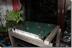 IMG_4111 IMG_4111