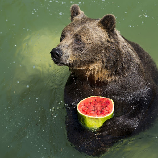 Hd-137451-ascw137451