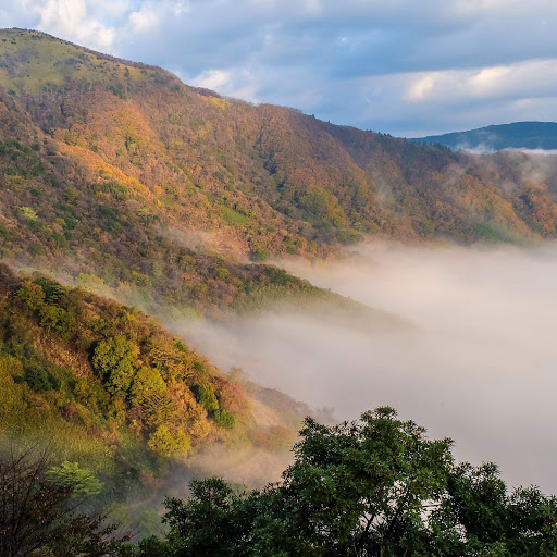 Hd-173334-ascw173334