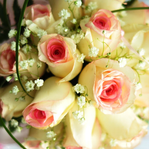 Hd-146109-ascw146109