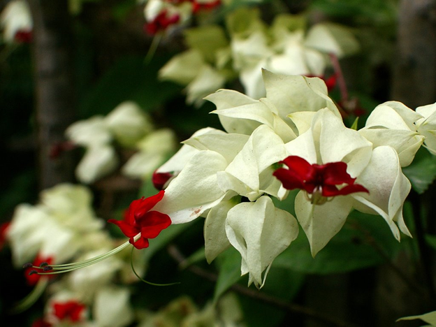 [image%255B41%255D.png]