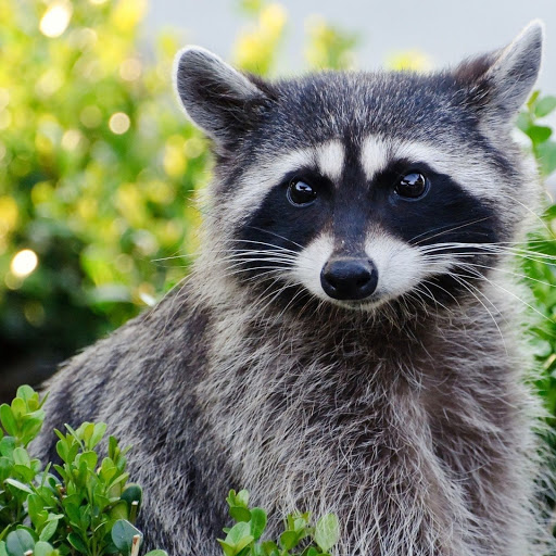 Hd-142367-ascw142367