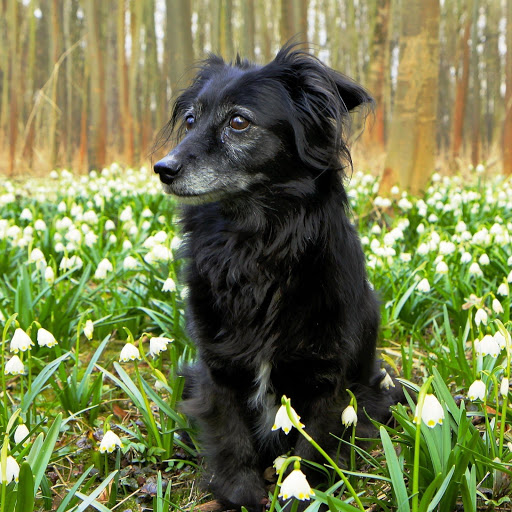 Hd-158723-ascw158723