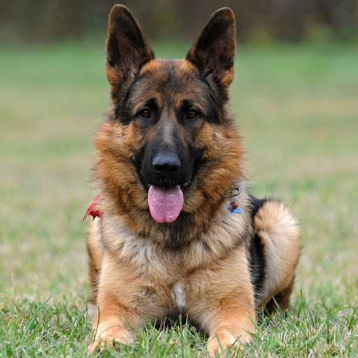 Hd-185639-ascw185639