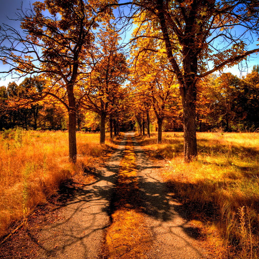 Hd-135732-ascw135732