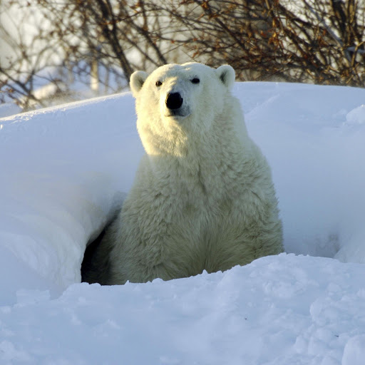 Hd-156495-ascw156495