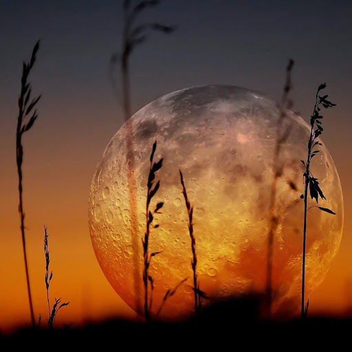 Hd-169135-ascw169135