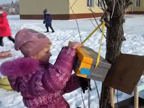 Юные экологи