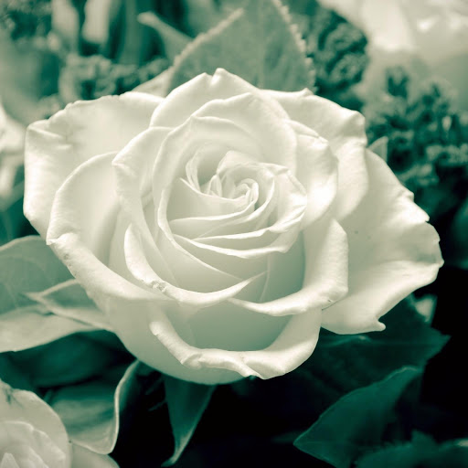 Hd-176479-ascw176479