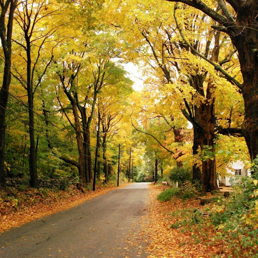 Hd-143432-ascw143432