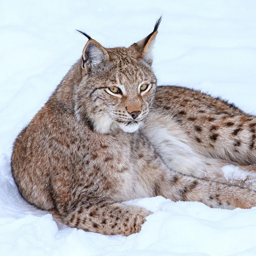 Hd-176346-ascw176346