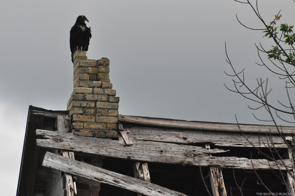 [DSC_0039%255B5%255D.jpg]