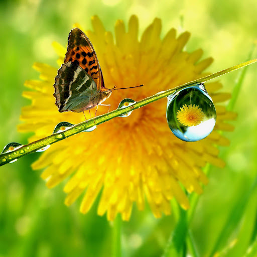 Hd-168550-ascw168550