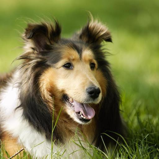 Hd-170465-ascw170465