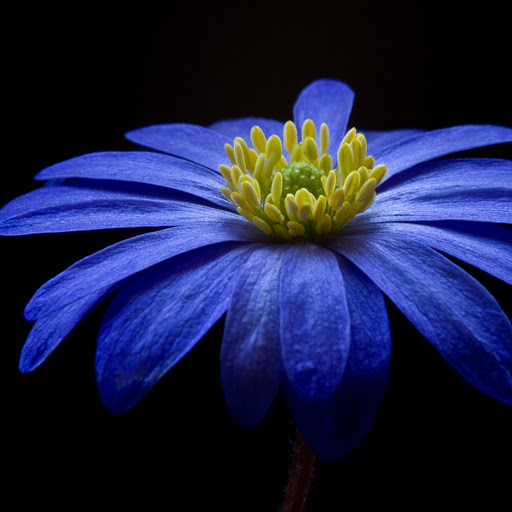 Hd-165425-ascw165425