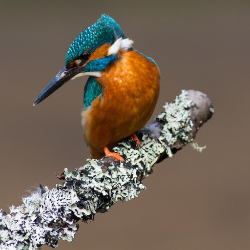 Hd-182615-ascw182615