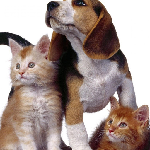 Hd-139724-ascw139724