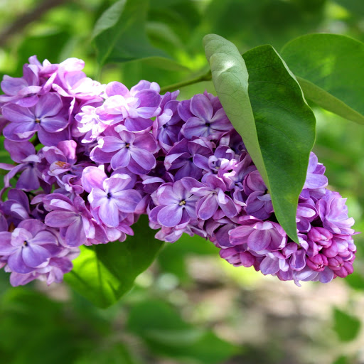 Hd-166972-ascw166972