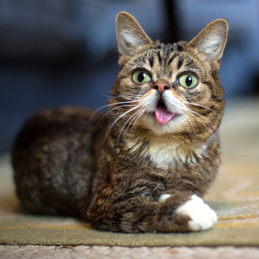 Hd-174265-ascw174265