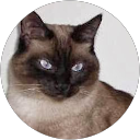 my Emmer profile picture