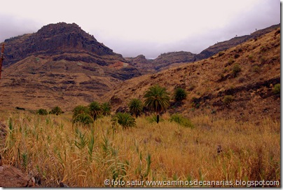 3507 Veneguera-Mogán 3507 Veneguera-Mogán