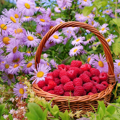 Hd-164548-ascw164548