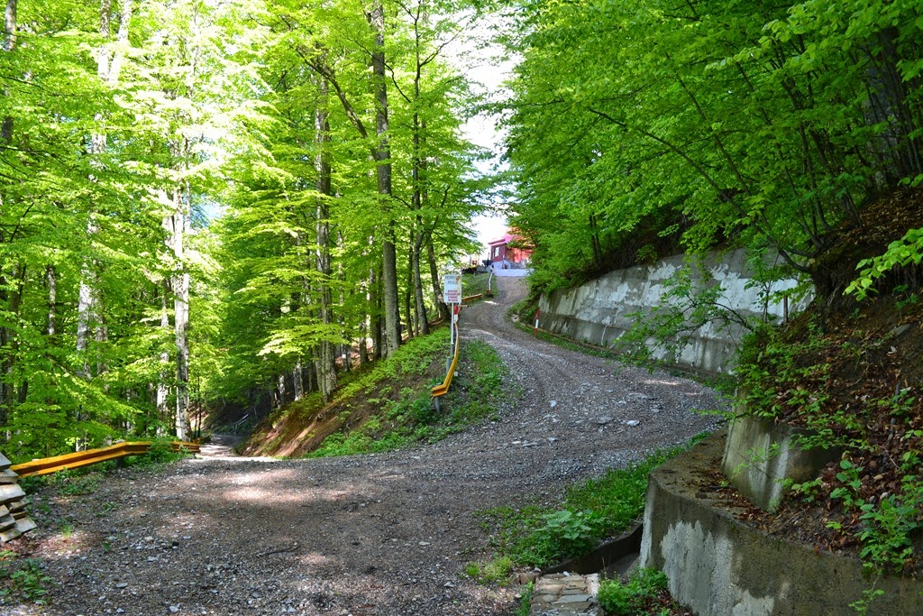 [DSC_92173.jpg]
