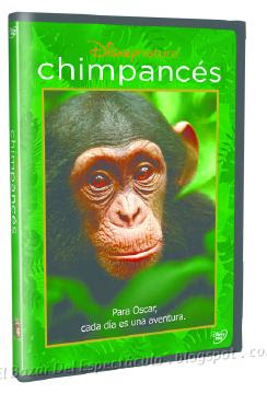 DVD CIMPANCES 3D.png