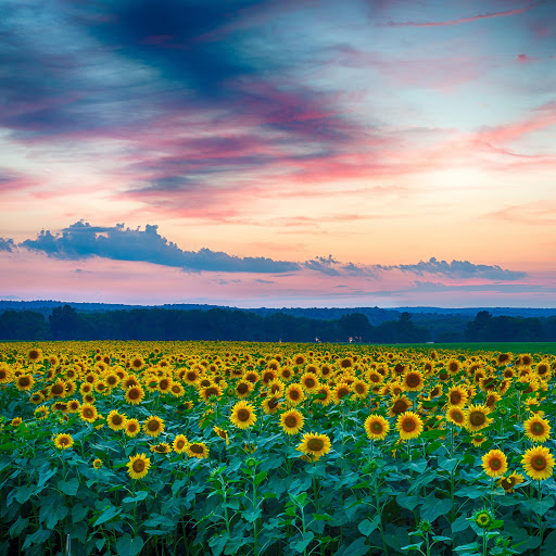 Hd-176131-ascw176131