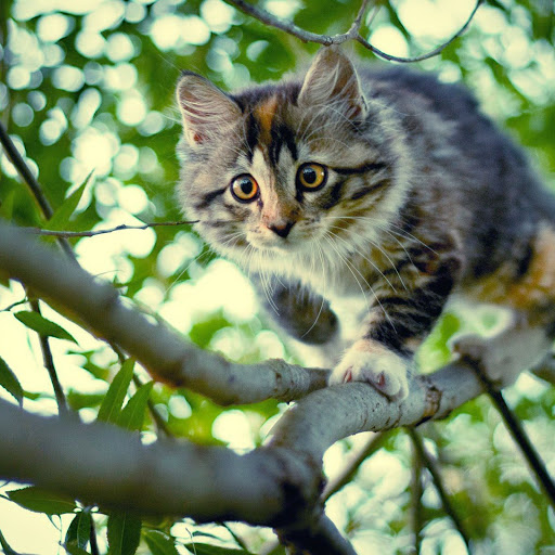 Hd-138846-ascw138846