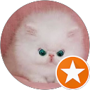 Image Google de Julie Chabrun
