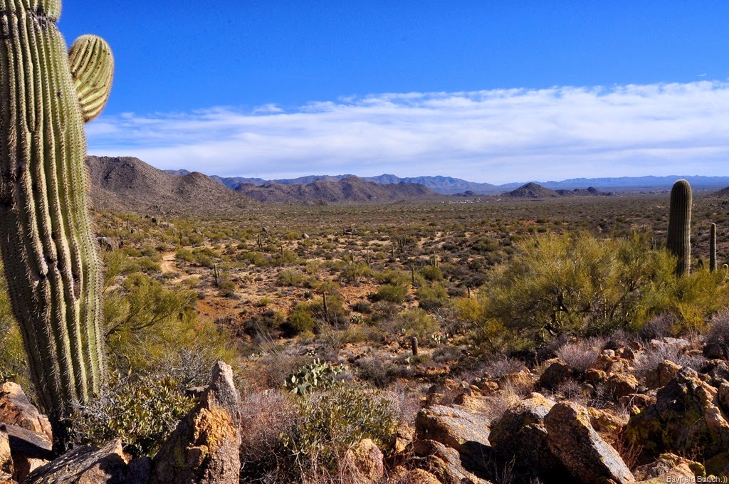 [DSC_0122%255B4%255D.jpg]