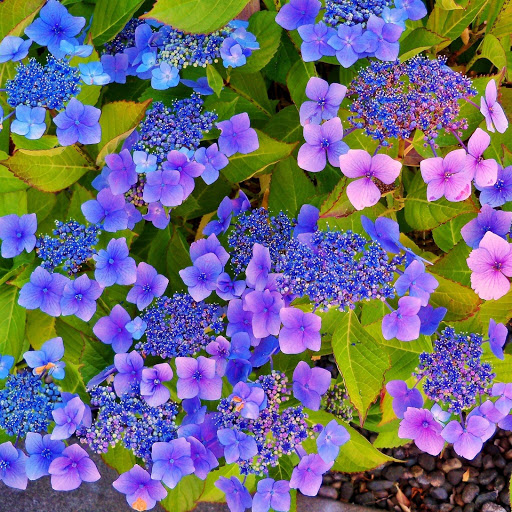 Hd-158746-ascw158746