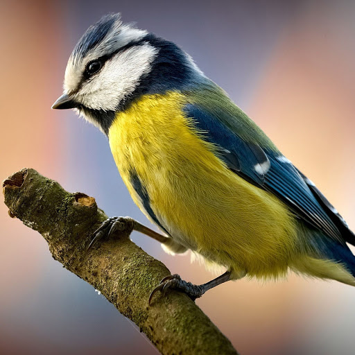 Hd-147824-ascw147824