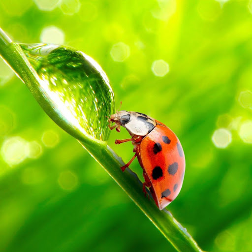 Hd-166397-ascw166397