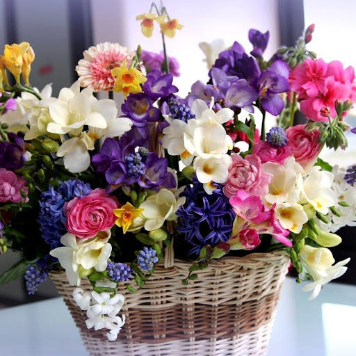 Hd-146248-ascw146248