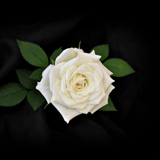 Hd-143587-ascw143587