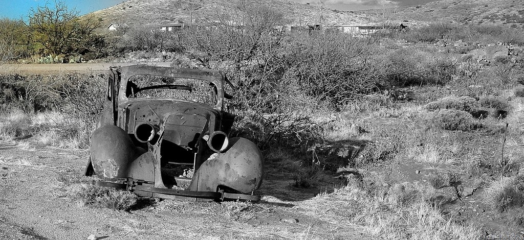 [DSC_0264%255B9%255D.jpg]