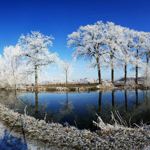 Hd-145812-ascw145812