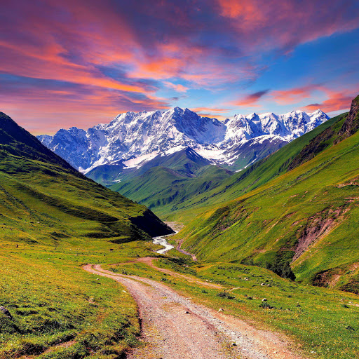 Hd-185325-ascw185325