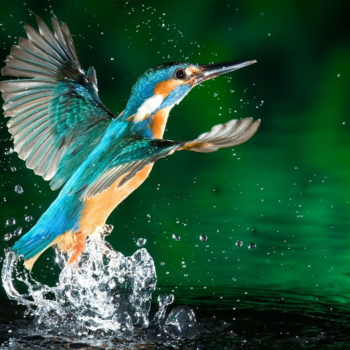 Hd-142974-ascw142974