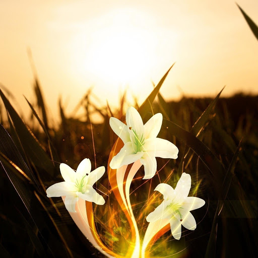 Hd-133586-ascw133586