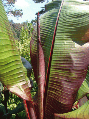 [image10%255B1%255D.png]