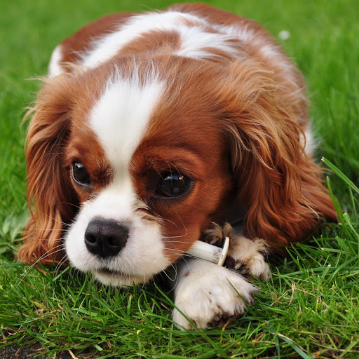 Hd-158725-ascw158725