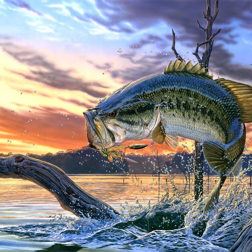 Hd-142460-ascw142460