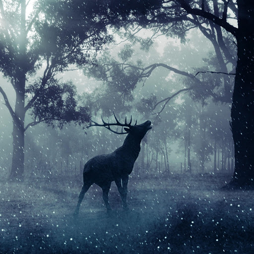 Hd-175093-ascw175093